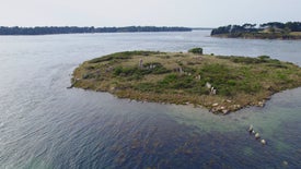 Imagem do Programa / Episiódio - O Reino Desaparecido de Carnac