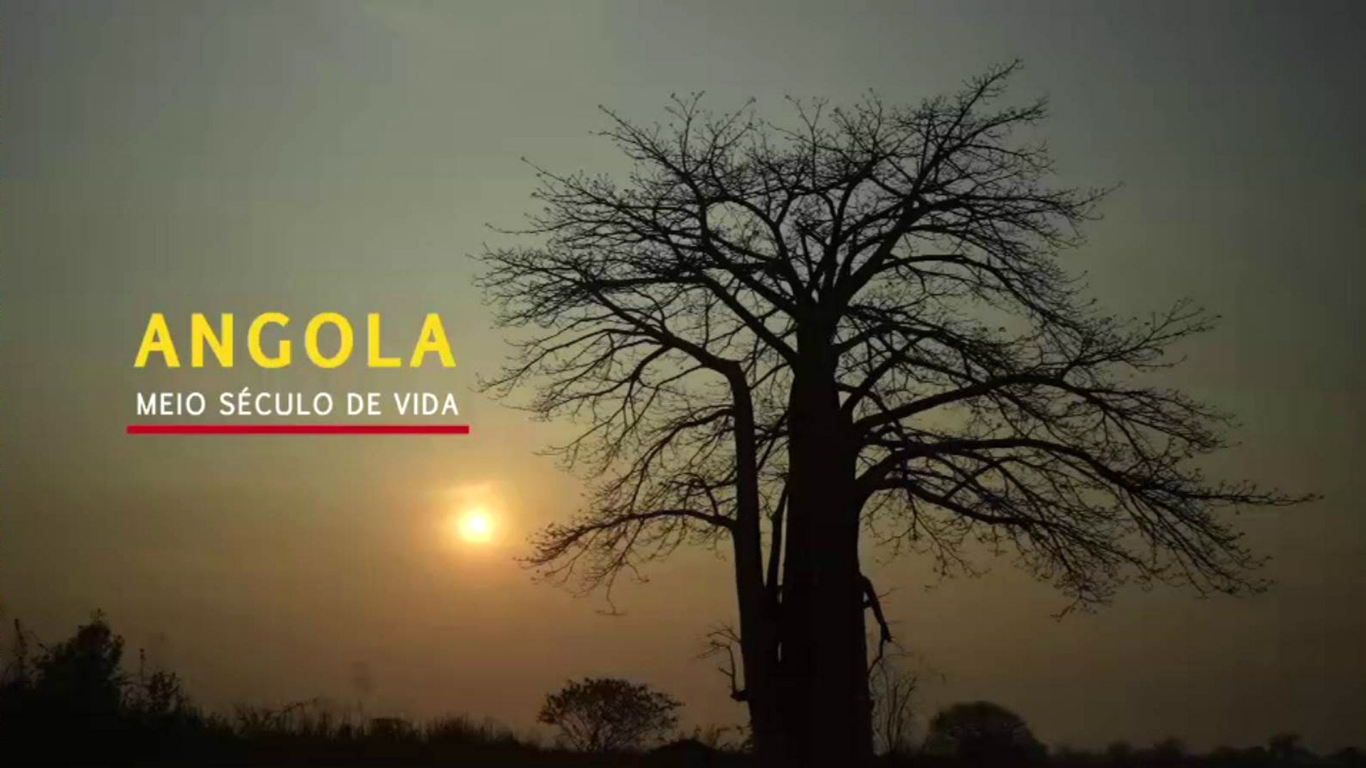 Imagem do Programa / Episiódio - Angola, Meio Século de Vida