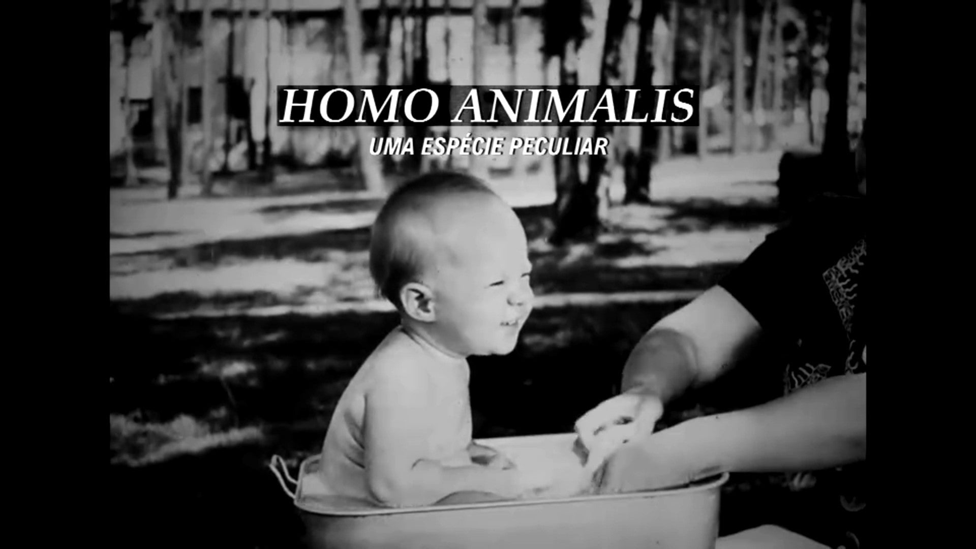Imagem de Homo Animalis: Uma Espécie Peculiar
