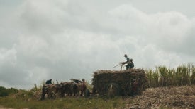 Imagem do Programa / Episiódio - A Maldição do Açúcar