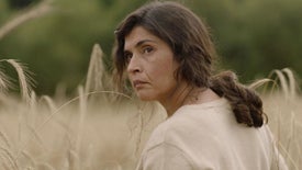 Imagem do Programa / Episiódio - O Corno do Centeio