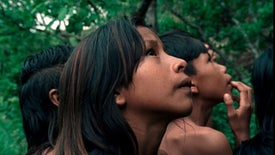 Imagem do Programa / Episiódio - A Flor do Buriti