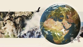 Imagem do Programa / Episiódio - O Conhecimento Secreto dos Animais