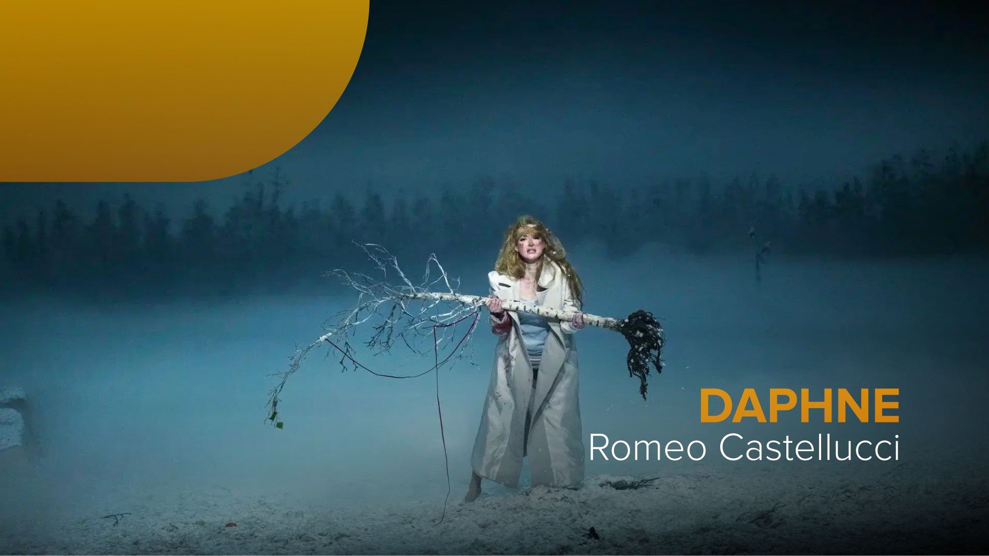 Imagem do Programa / Episiódio - Daphne