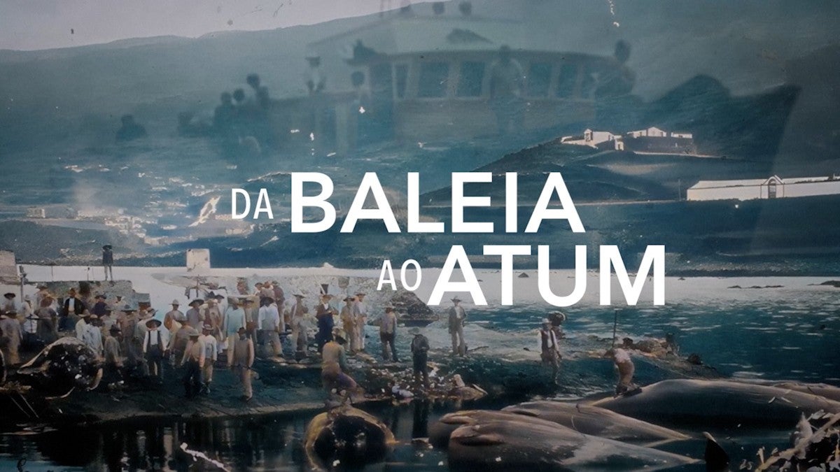 Imagem de Da Baleia ao Atum | Documentário