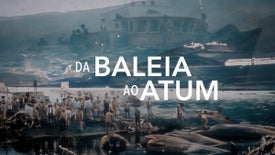 Imagem do Programa / Episiódio - Da Baleia ao Atum