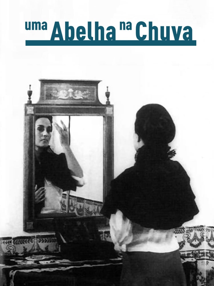 Imagem do Programa / Episiódio - Uma Abelha na Chuva