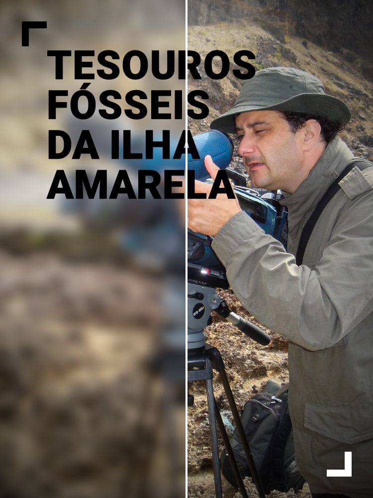 Imagem do Programa / Episiódio - Tesouros Fósseis da Ilha Amarela