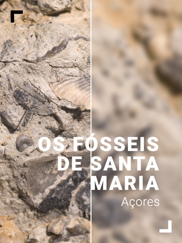 Imagem do Programa / Episiódio - Os Fósseis de Santa Maria - Açores