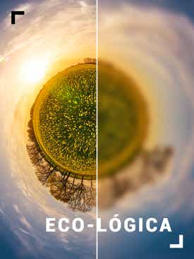 Eco-L�gica