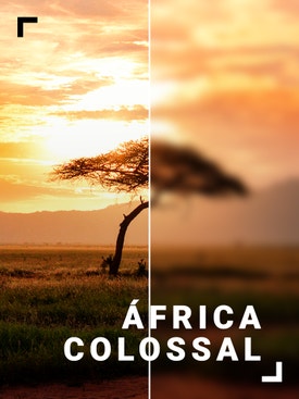 �frica Colossal