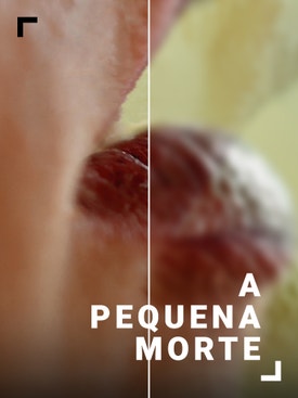 A Pequena Morte