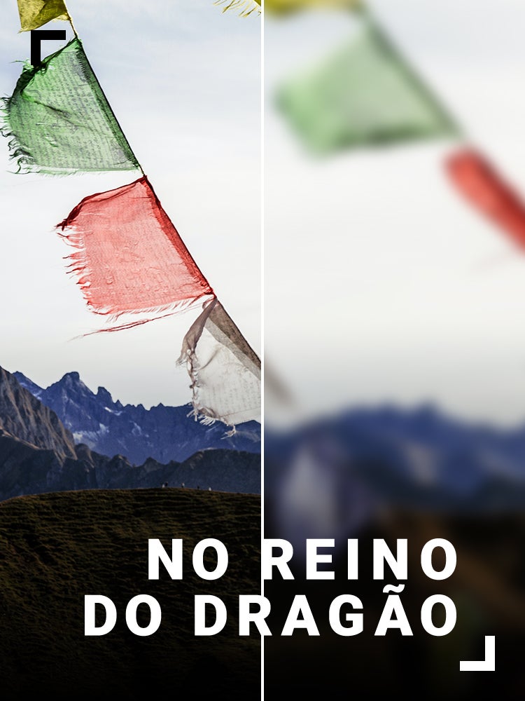 Imagem do Programa / Episiódio - No Reino do Dragão