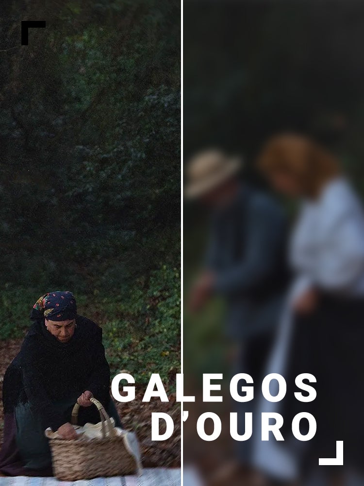 Imagem do Programa / Episiódio - Galegos d´Ouro