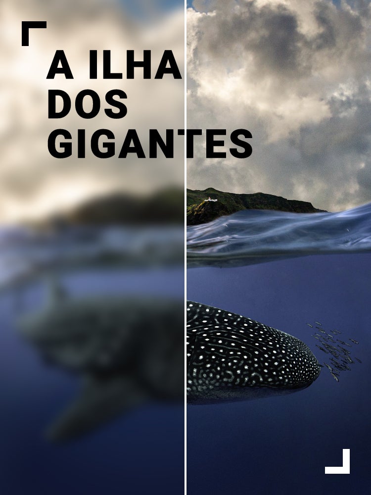 Imagem do Programa / Episiódio - A Ilha dos Gigantes