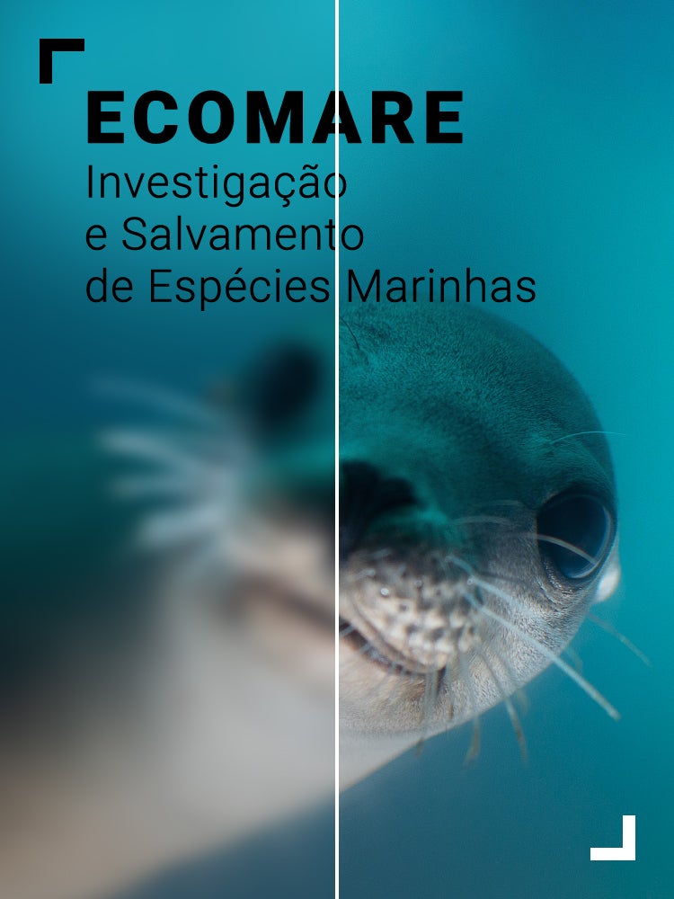 Imagem do Programa / Episiódio - Ecomare - Investigação e Salvamento de Espécies Marinhas