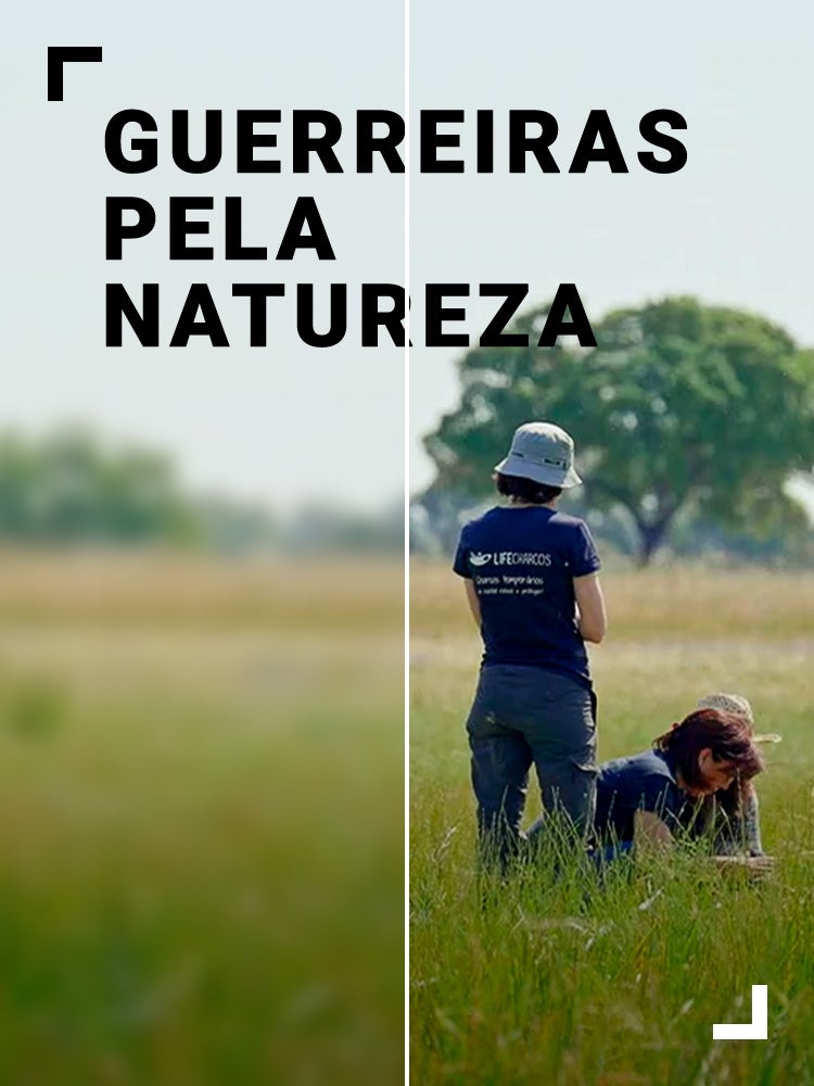 Imagem do Programa / Episiódio - Guerreiras pela Natureza