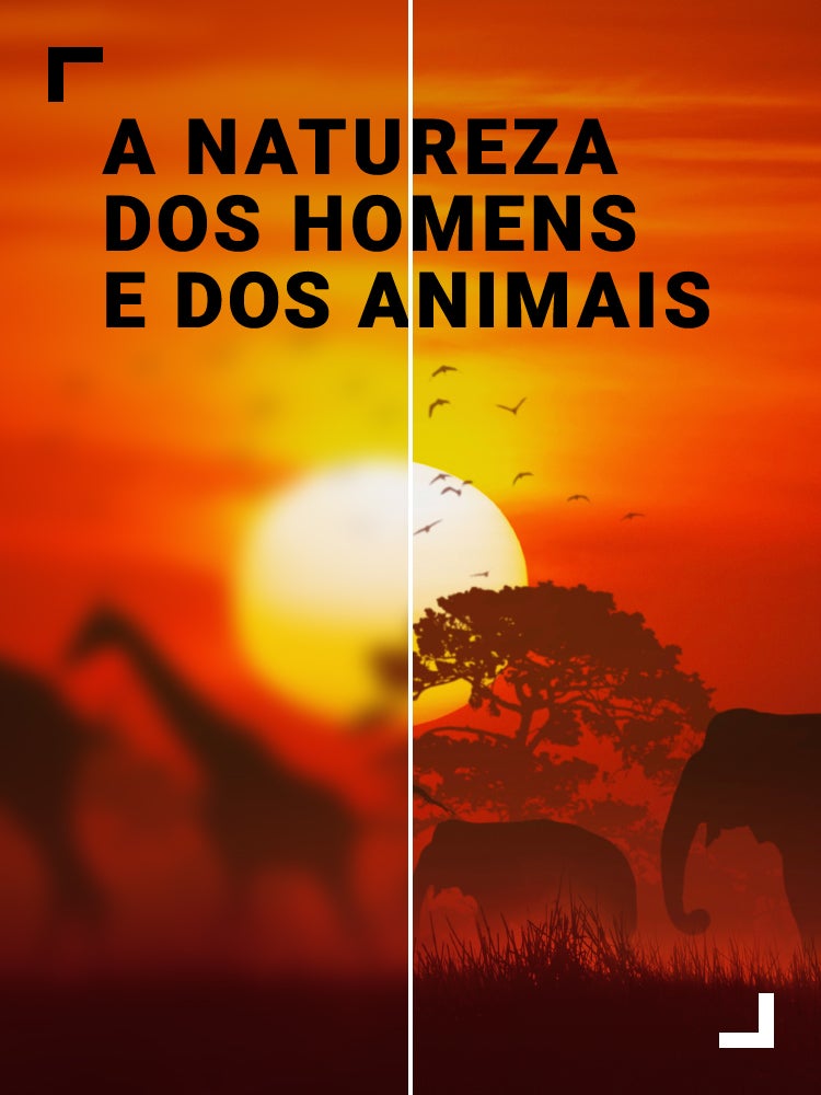 Imagem do Programa / Episiódio - A Natureza dos Homens e dos Animais