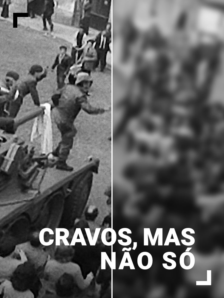 Imagem do Programa / Episiódio - Cravos, Mas Não Só