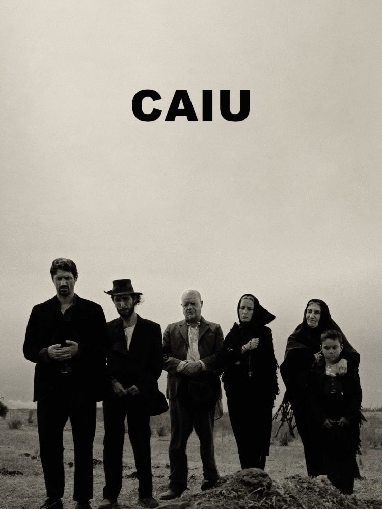 Imagem do Programa / Episiódio - Caiu