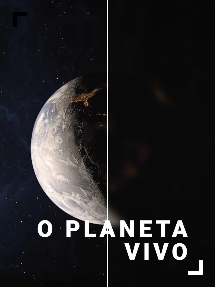 Imagem do Programa / Episiódio - O Planeta Vivo