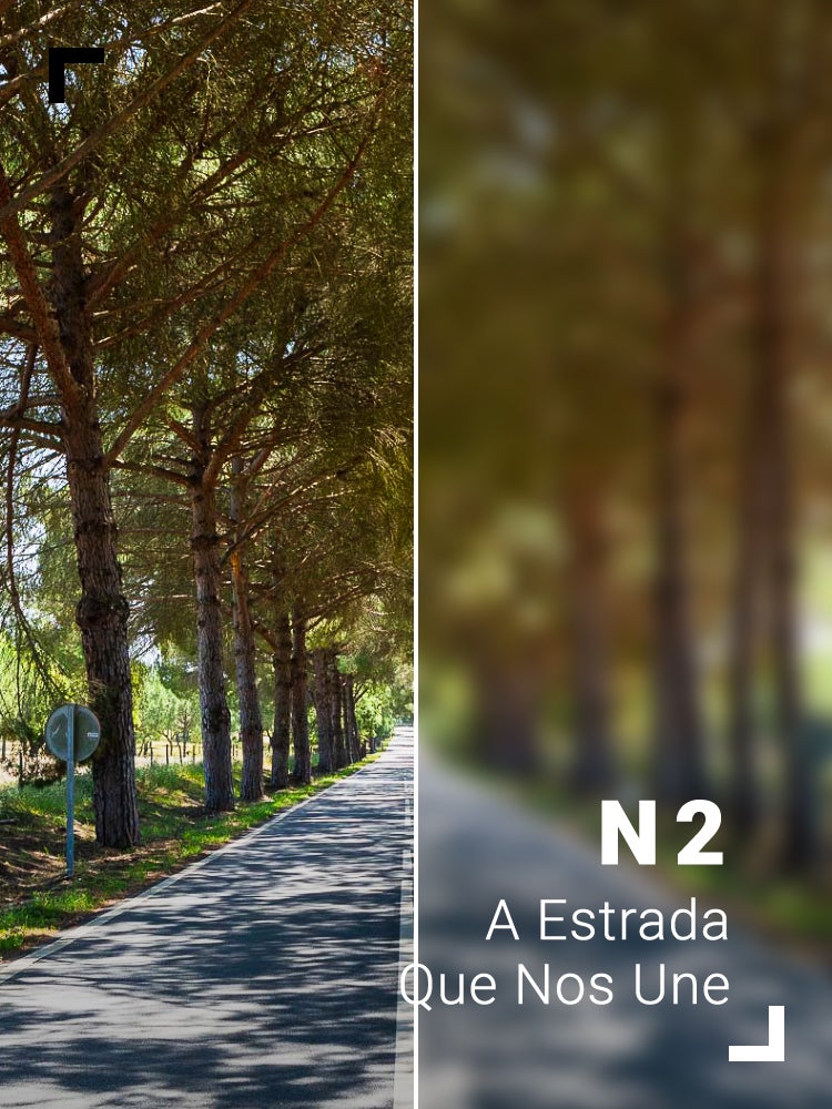 Imagem do Programa / Episiódio - N2: A Estrada Que Nos Une