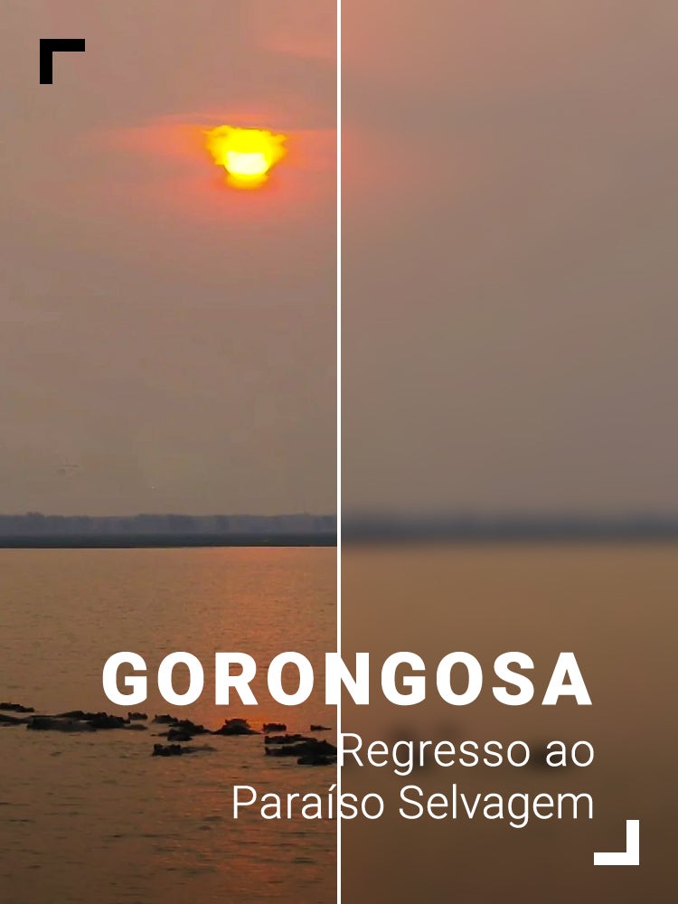 Imagem do Programa / Episiódio - Gorongosa - Regresso ao Paraíso Selvagem