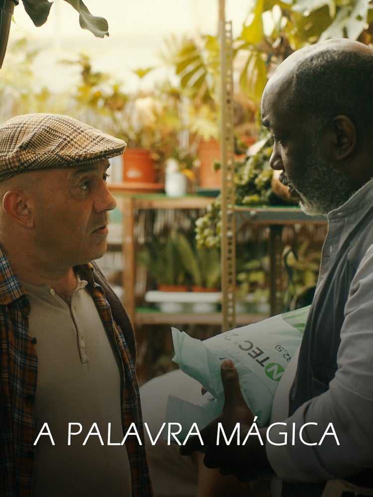 Imagem do Programa / Episiódio - A Palavra Mágica