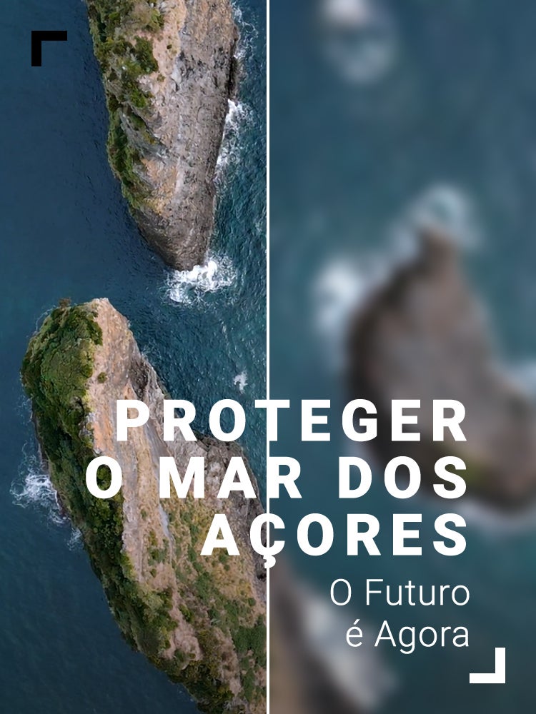 Imagem do Programa / Episiódio - Proteger o Mar dos Açores: O Futuro é Agora