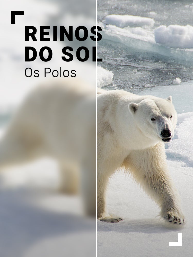 Imagem do Programa / Episiódio - Reinos do Sol: Os Polos