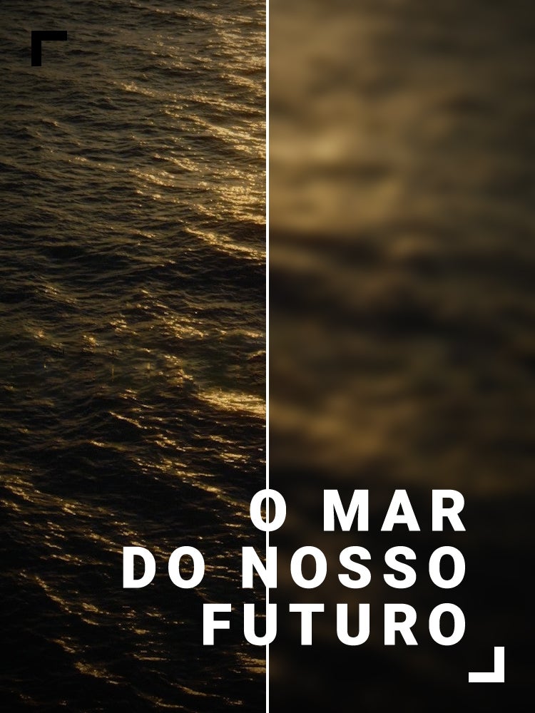 Imagem do Programa / Episiódio - O Mar do Nosso Futuro