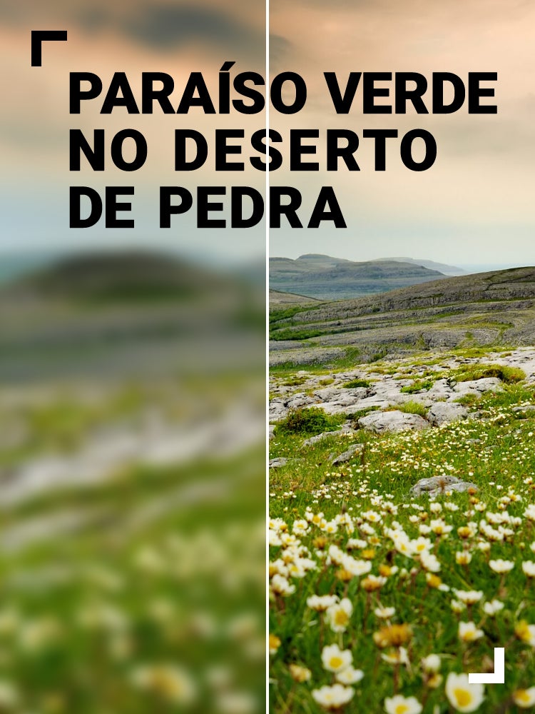 Imagem do Programa / Episiódio - Paraíso Verde no Deserto de Pedra