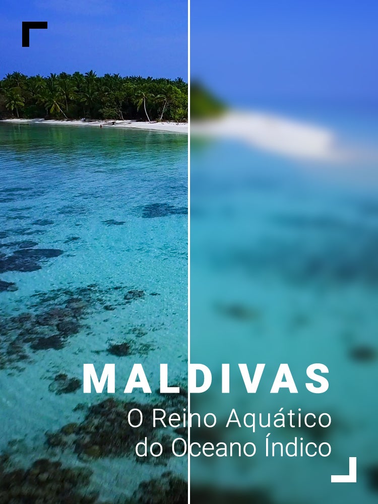 Imagem do Programa / Episiódio - Maldivas: O Reino Aquático do Oceano Índico