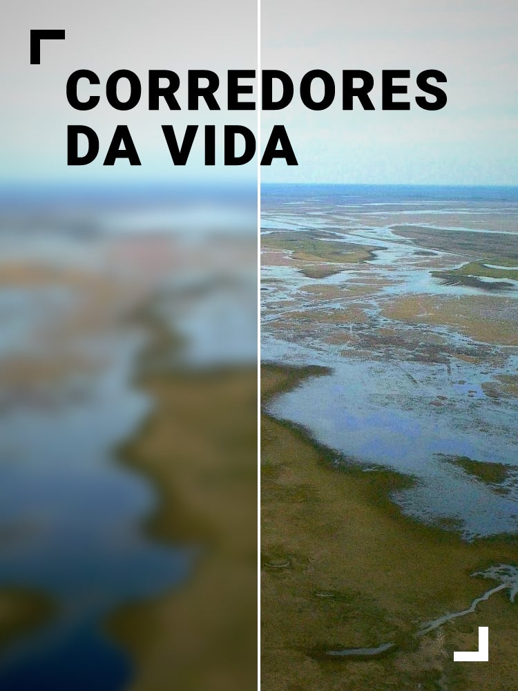 Imagem do Programa / Episiódio - Corredores da Vida