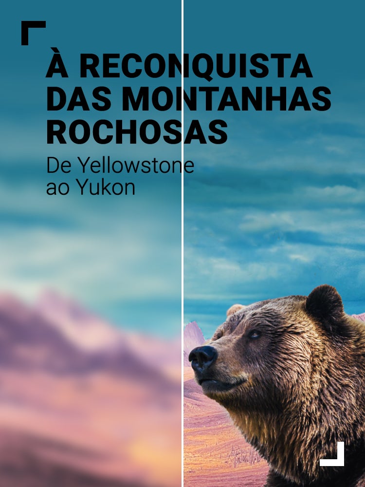 Imagem do Programa / Episiódio - À Reconquista das Montanhas Rochosas: De Yellowstone ao Yukon