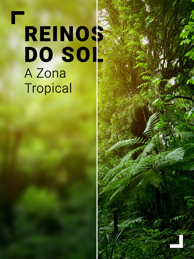 Imagem do Programa / Episiódio - Reinos do Sol: A Zona Tropical