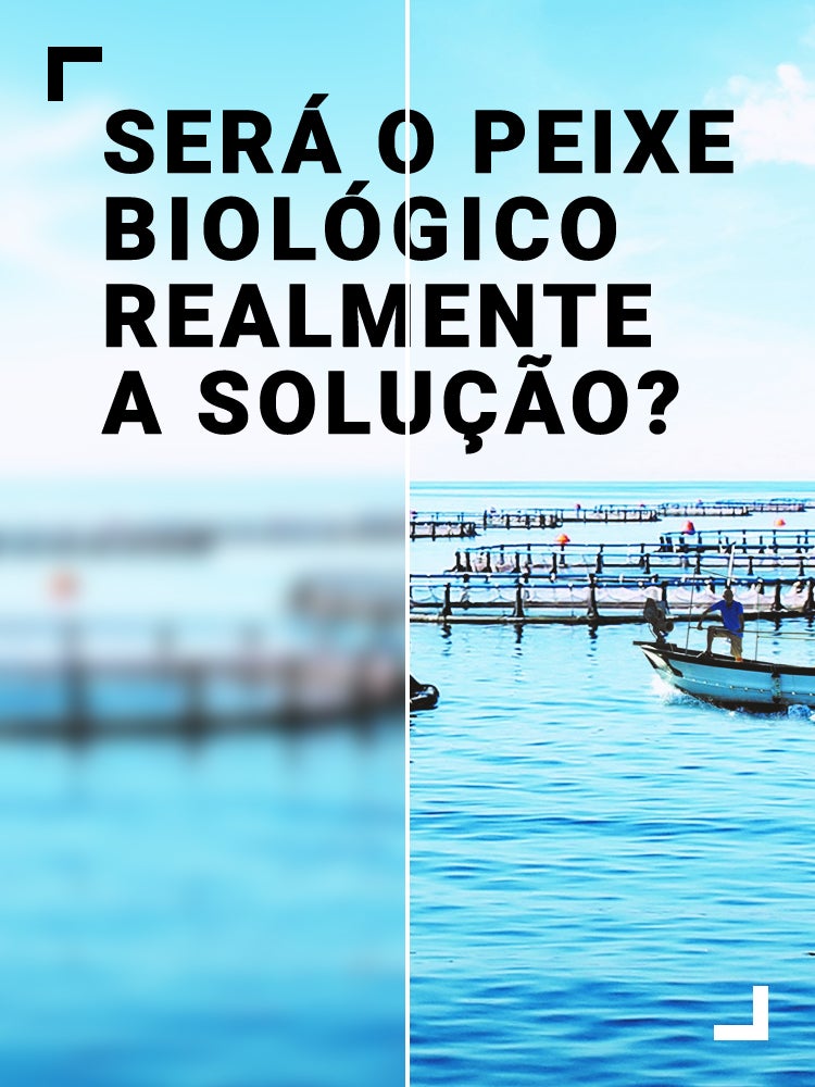 Imagem do Programa / Episiódio - Será o Peixe Biológico Realmente a Solução?