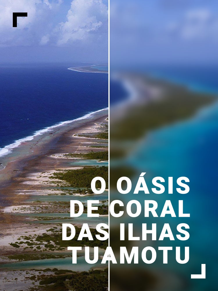 Imagem do Programa / Episiódio - O Oásis de Coral das Ilhas Tuamotu