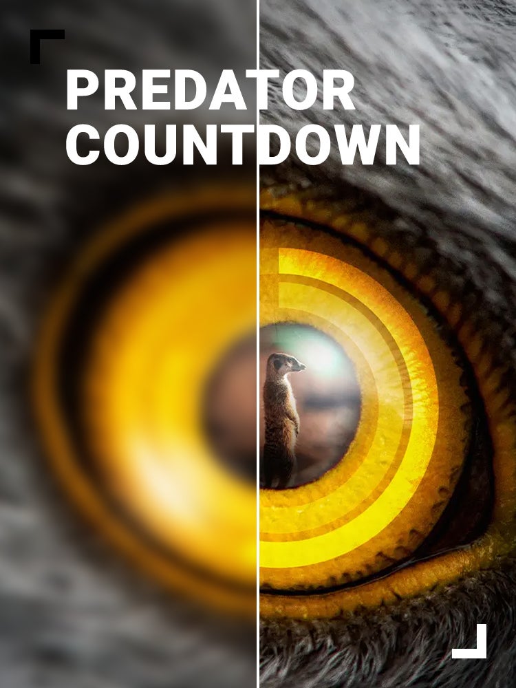 Imagem do Programa / Episiódio - Contagem Decrescente para Caçar