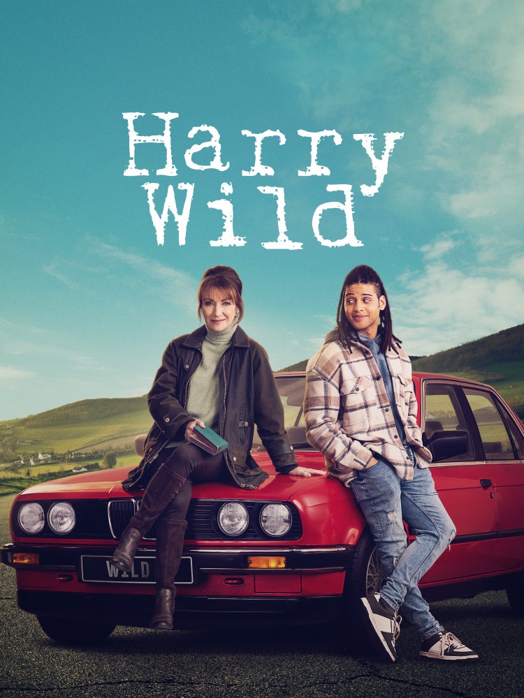 Imagem do Programa / Episiódio - Harry Wild