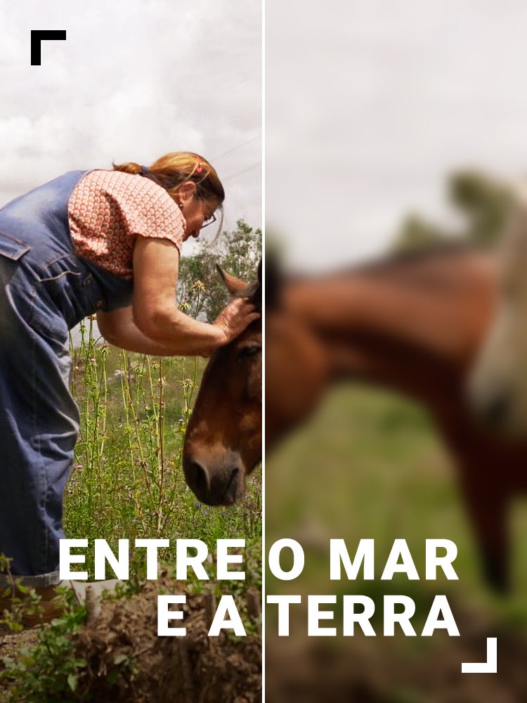 Imagem do Programa / Episiódio - Entre o Mar e a Terra