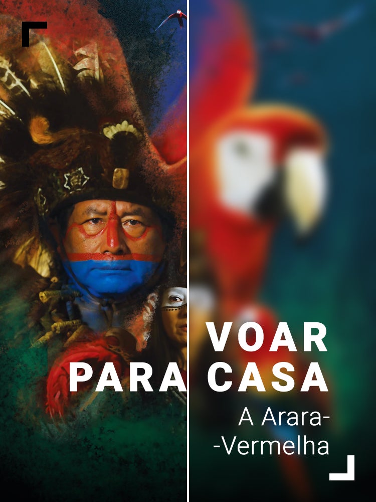 Imagem do Programa / Episiódio - Voar para Casa: A Arara-Vermelha