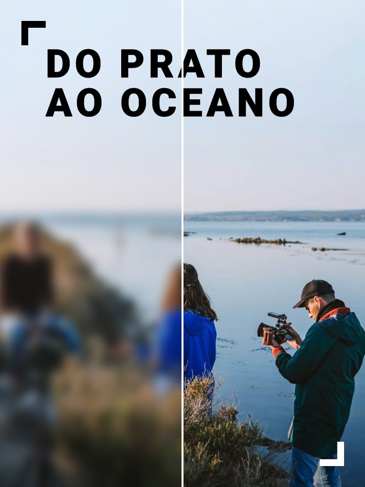 Imagem do Programa / Episiódio - Do Prato ao Oceano