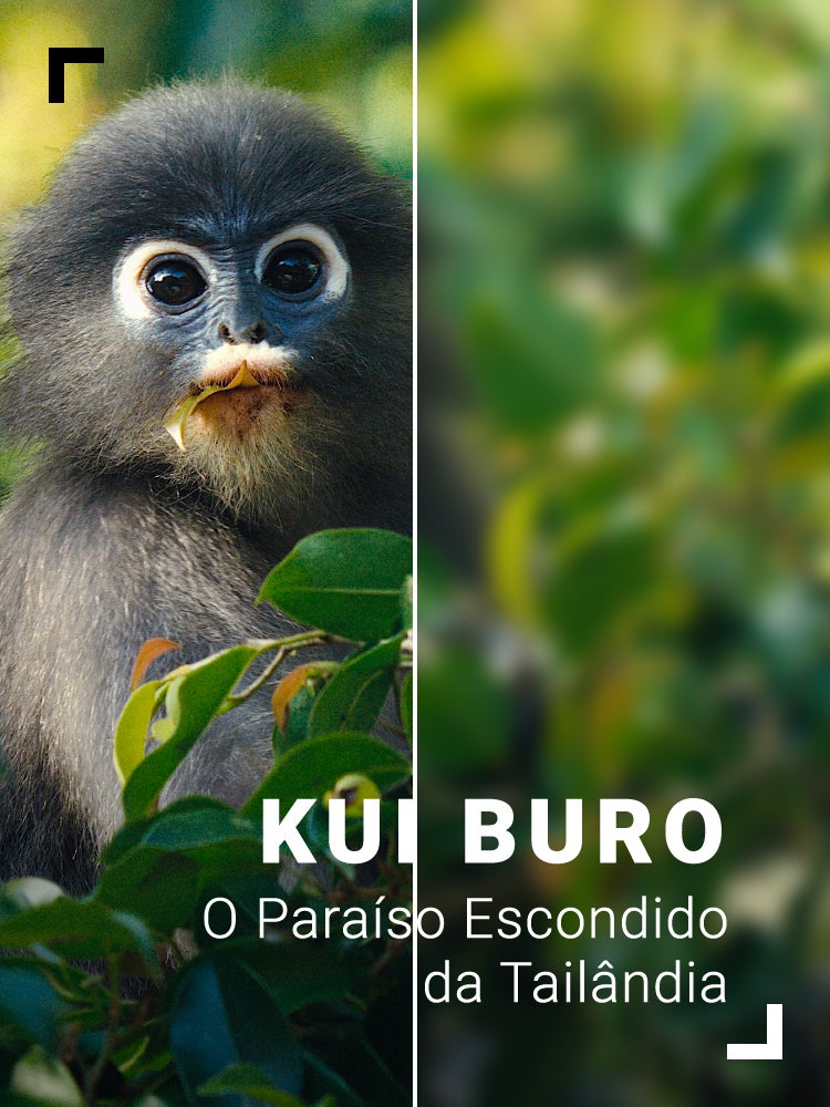 Imagem do Programa / Episiódio - Kui Buro - O Paraíso Escondido da Tailândia