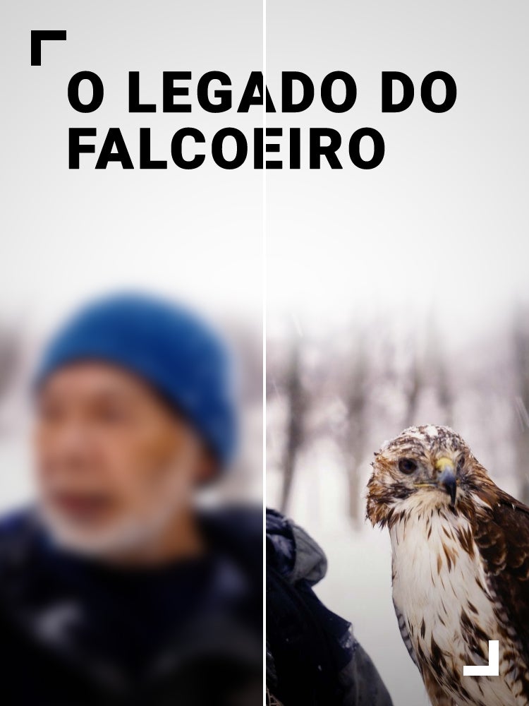 Imagem do Programa / Episiódio - O Legado do Falcoeiro