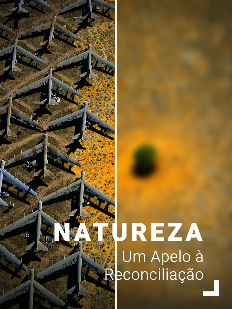 Imagem do Programa / Episiódio - Natureza: Um Apelo à Reconciliação