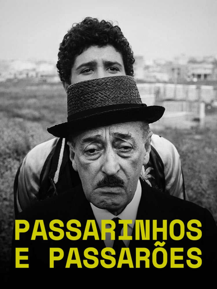 Imagem do Programa / Episiódio - Passarinhos e Passarões