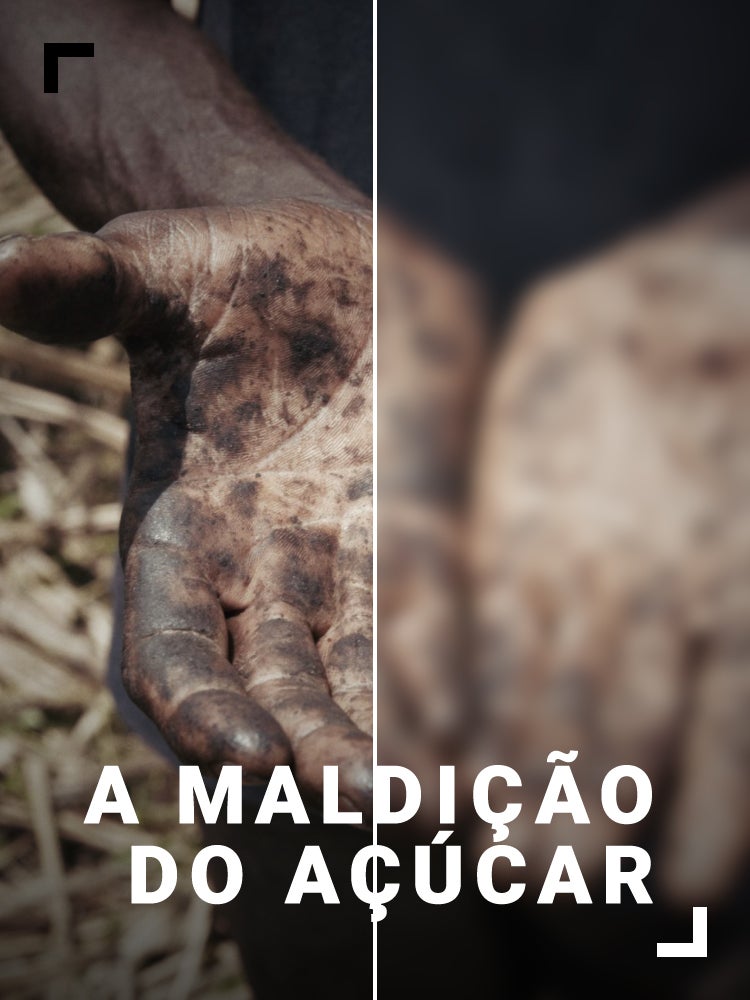 Imagem do Programa / Episiódio - A Maldição do Açúcar