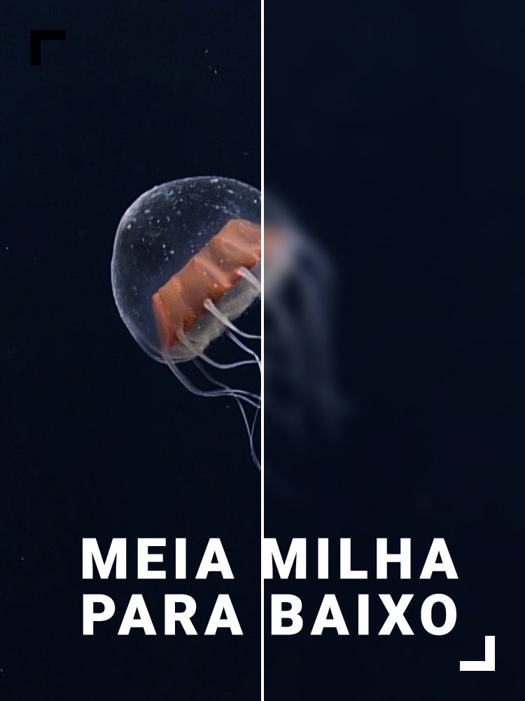 Imagem do Programa / Episiódio - Meia Milha Para Baixo