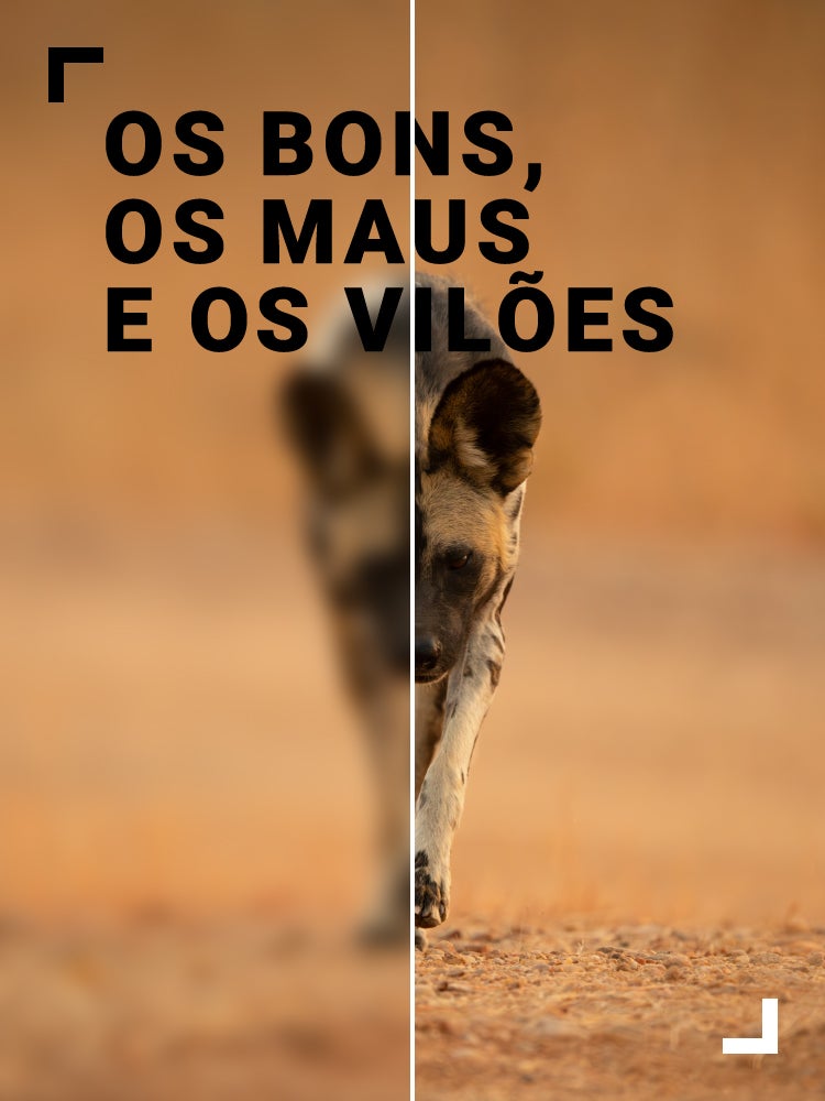 Imagem do Programa / Episiódio - Os Bons, os Maus e os Vilões